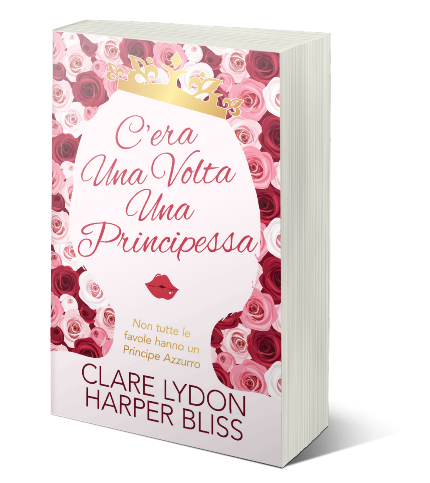 C’era Una Volta Una Principessa (Paperback)